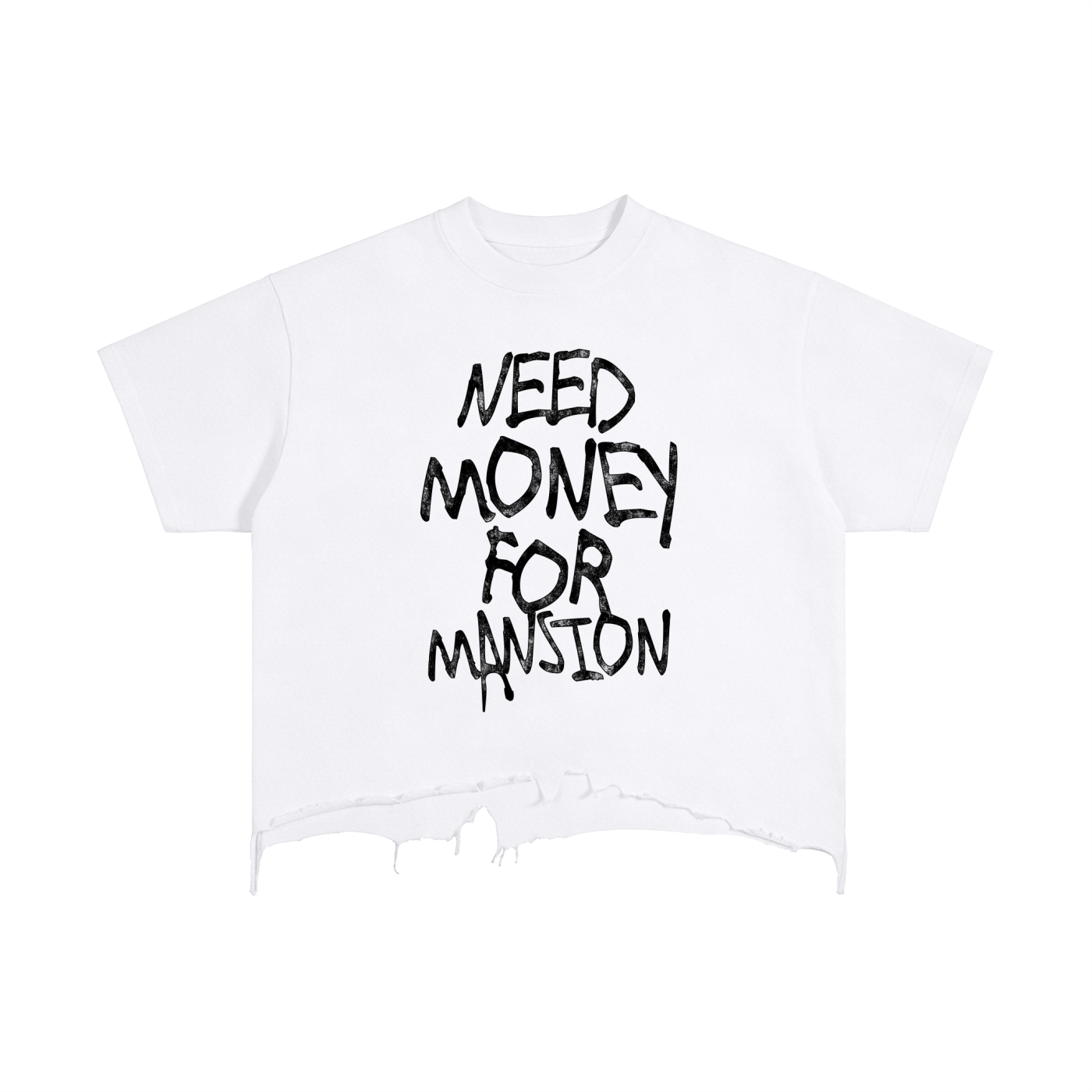 LeReign Vintage Money For Mansion